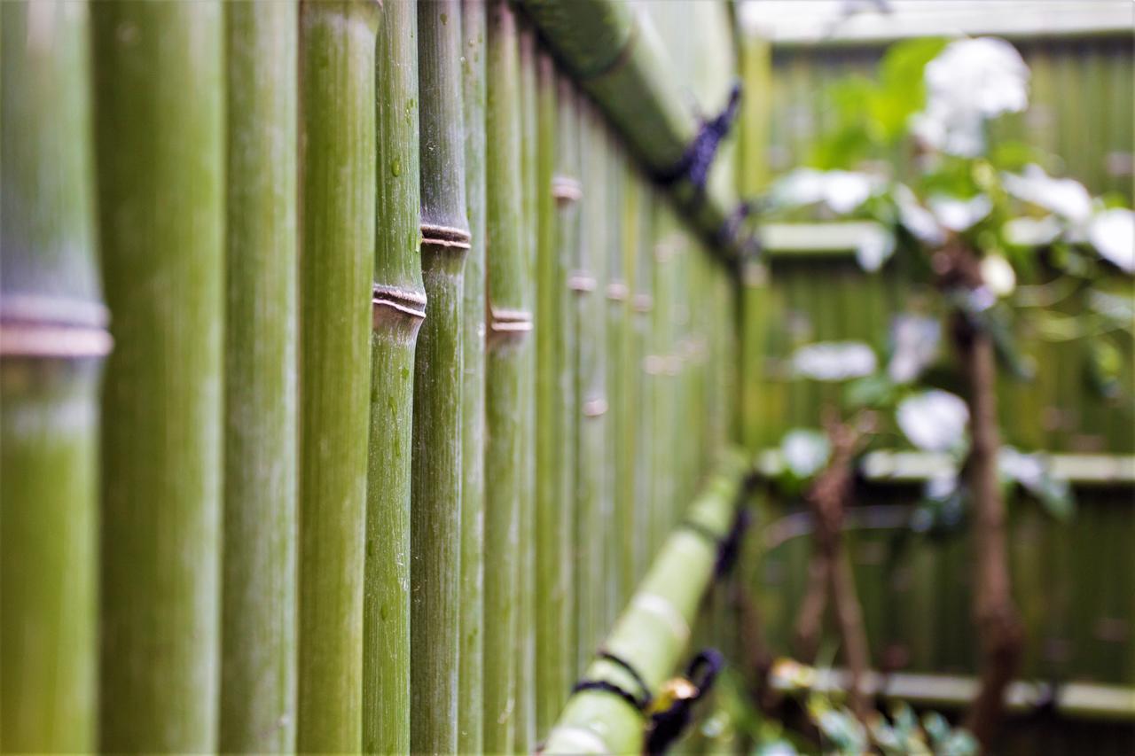 ゲストハウス 京洛や 金閣寺 京都市 エクステリア 写真